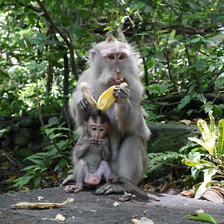 Pondok Penestanan Villa Ubud Eksteriør billede