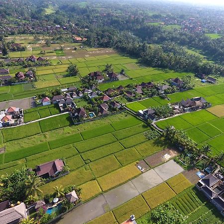 Pondok Penestanan Villa Ubud Eksteriør billede