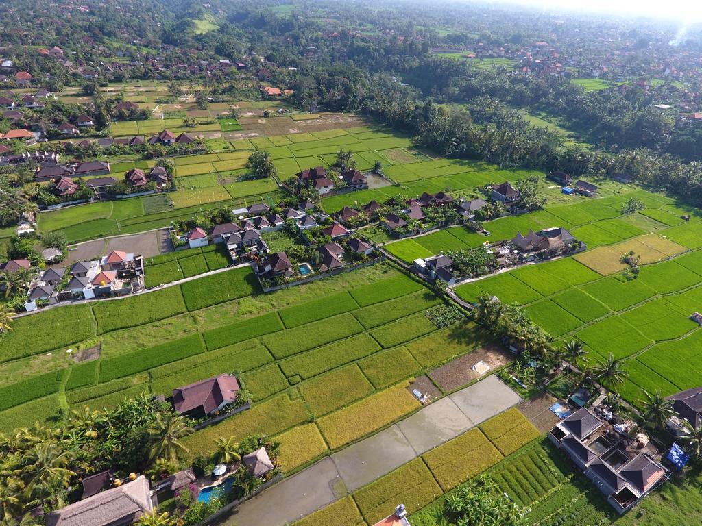 Pondok Penestanan Villa Ubud Eksteriør billede